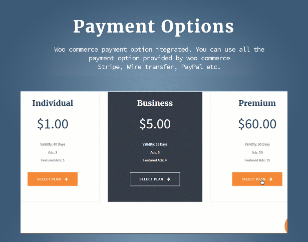 AdForest -  classified theme payment options